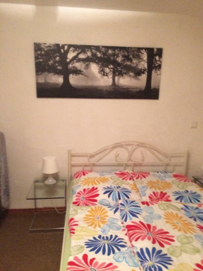 Wohnung Nur Fuer Monteure Und Handwerker Бад Кроцинген Екстериор снимка